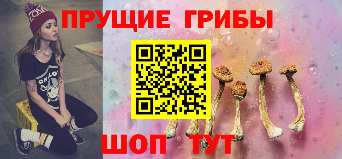 Усть-Илимск  Псилоцибиновые грибы мицелий  Вход с VPN 